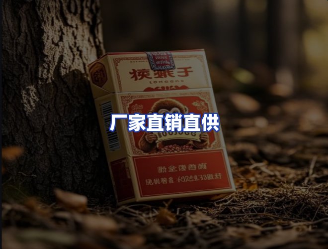 专业团队